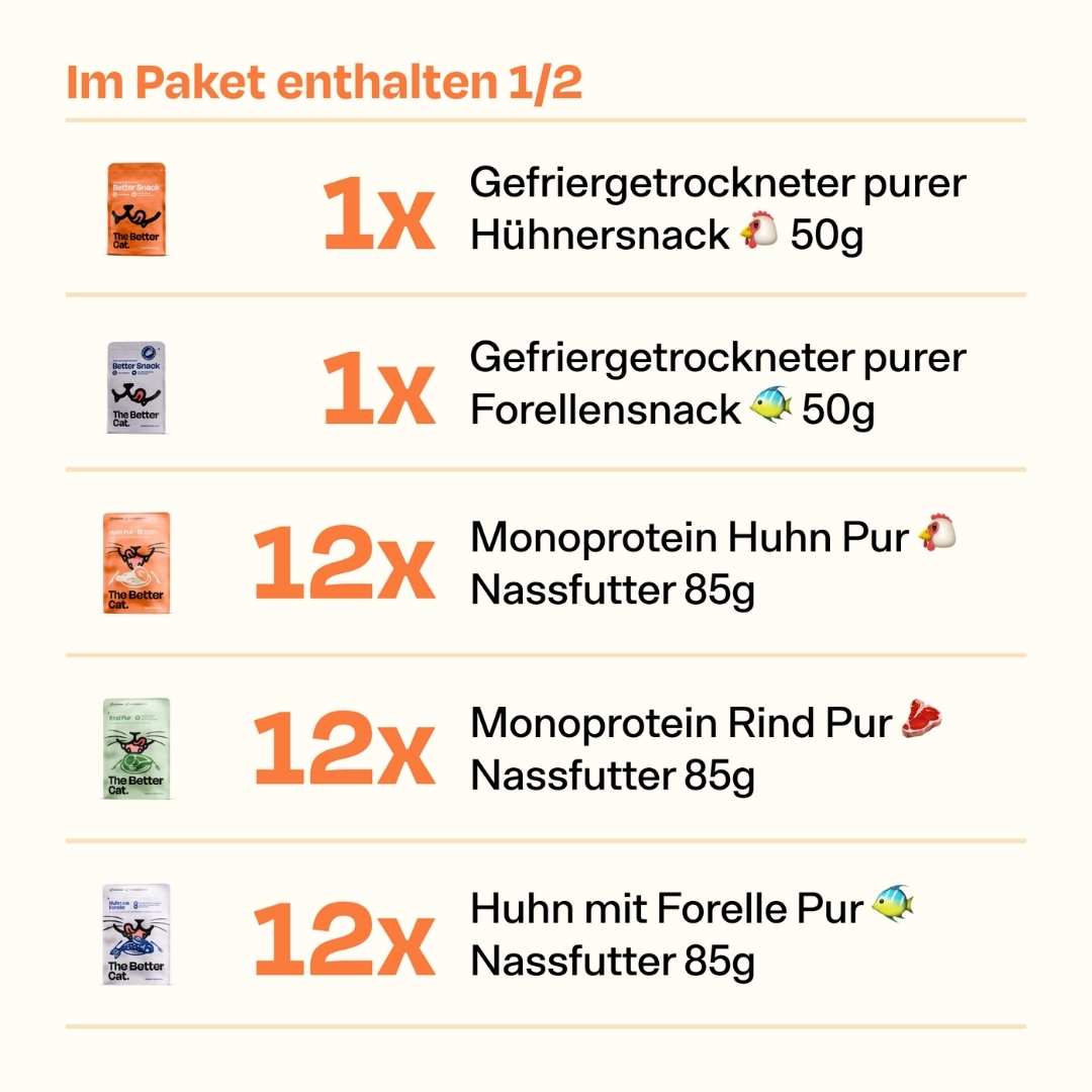 Catzarelove Bundle inkl. GRATIS Kalendar & H2Miau