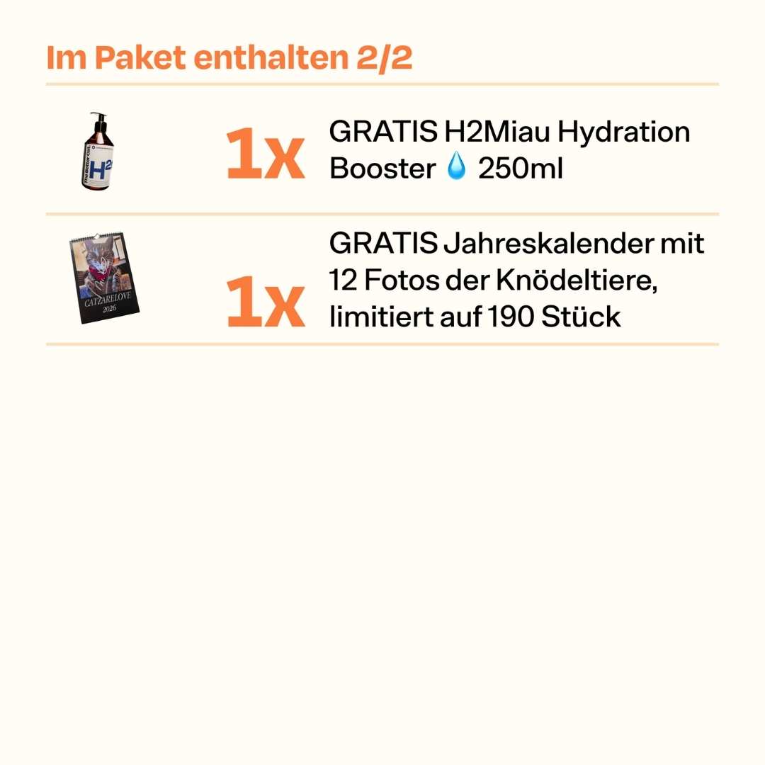 Catzarelove Bundle inkl. GRATIS Kalendar & H2Miau