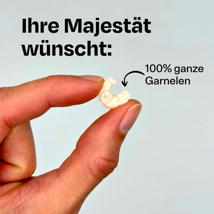 40g gefriergetrockneter Garnelen-Snack - Signature Selection 🦐