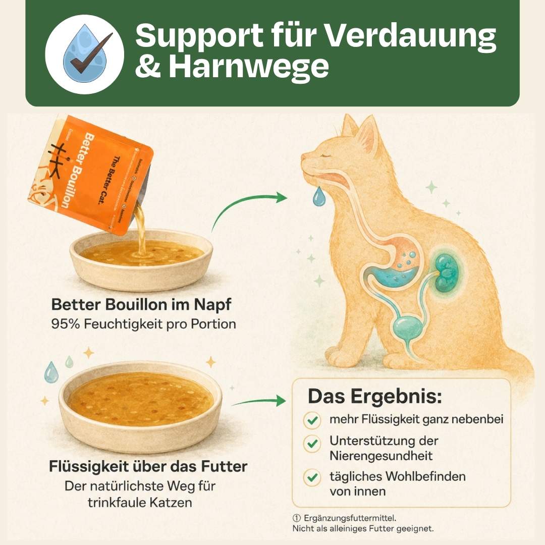 Better Bouillon Suppen Sparpaket