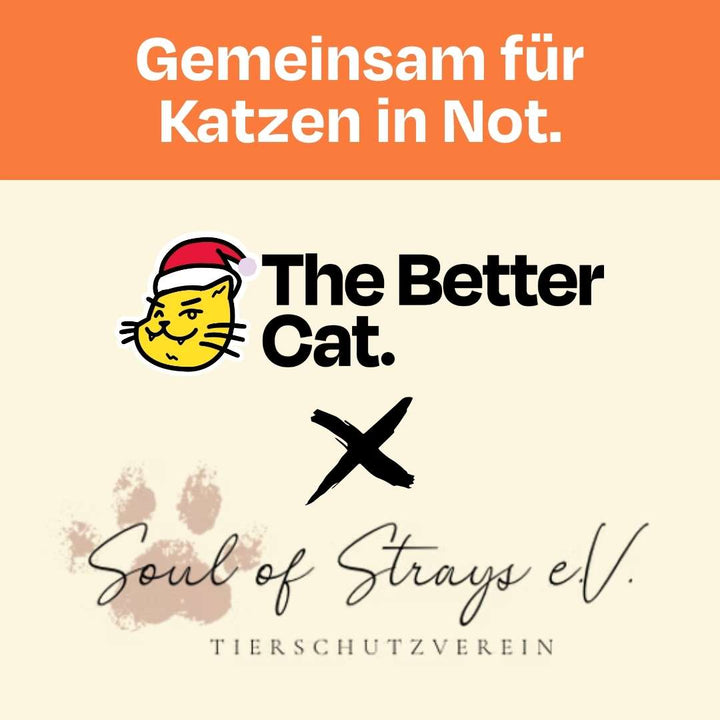 Catmas Spenden-Voucher – 10 € für Soul of Strays