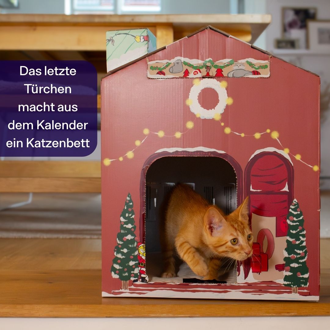 TBC Adventskalendar 2026