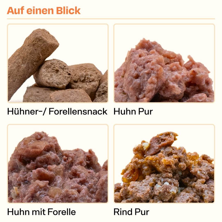 Knödeltier Pack Weihnachtsedition 🎄