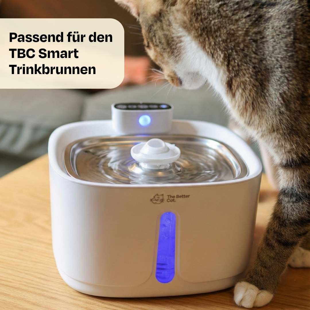 6x Smartbrunnen Filter