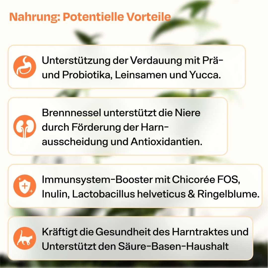 Deluxe Starterpack mit GRATIS Thermo, Appetit Booster & Snack