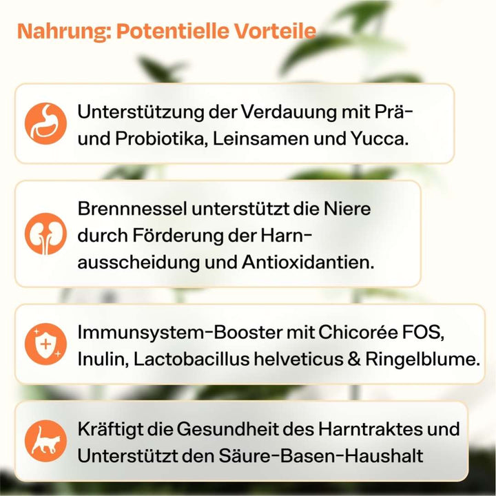 Deluxe Starterpack mit GRATIS Thermo, Appetit Booster & Snack