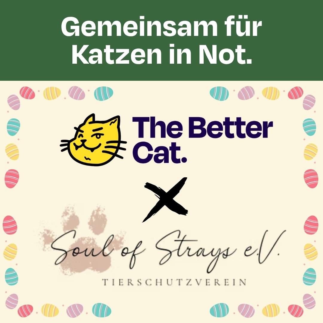 Oster Spenden-Voucher – 10 € für Soul of Strays