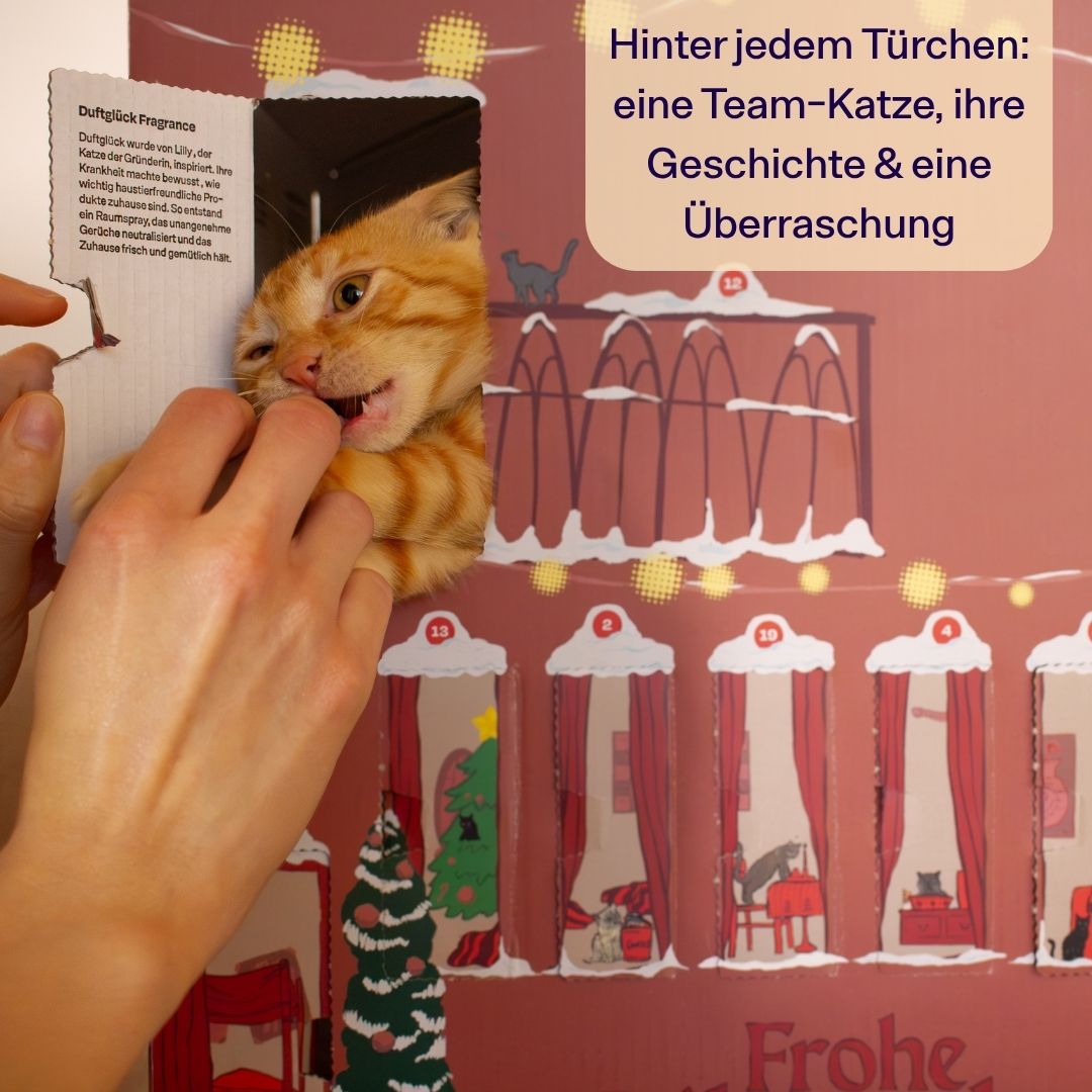 TBC Adventskalendar 2026