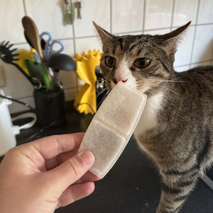 6x Smartbrunnen Filter