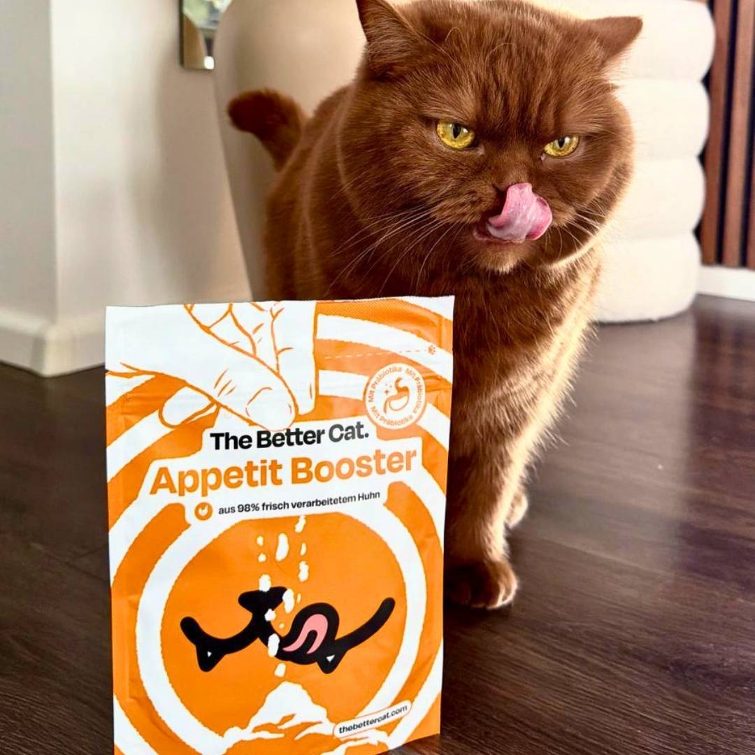 Sinas Lieblingspaket mit Buch & GRATIS Appetit Booster