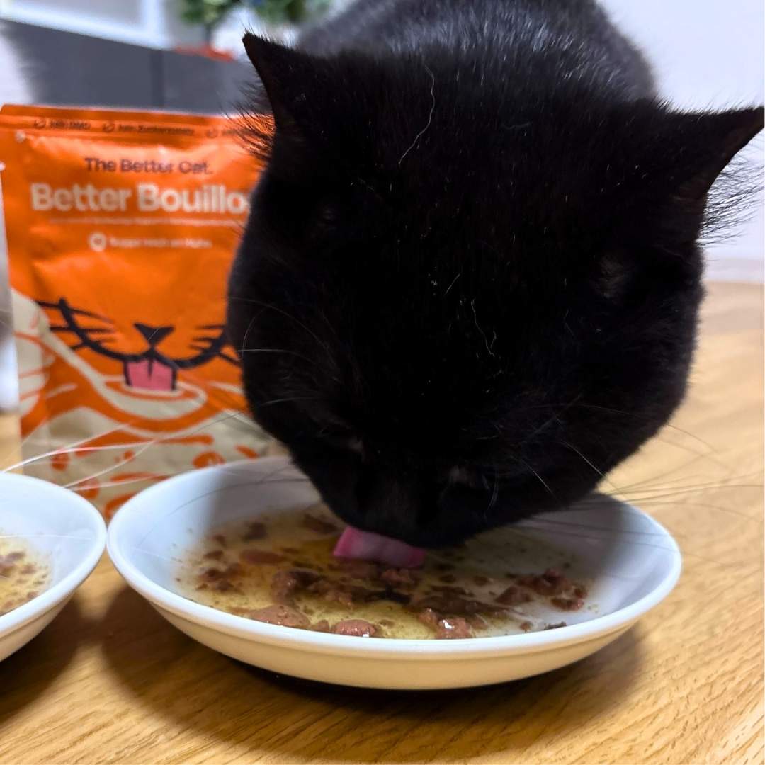 Better Bouillon Suppen Sparpaket