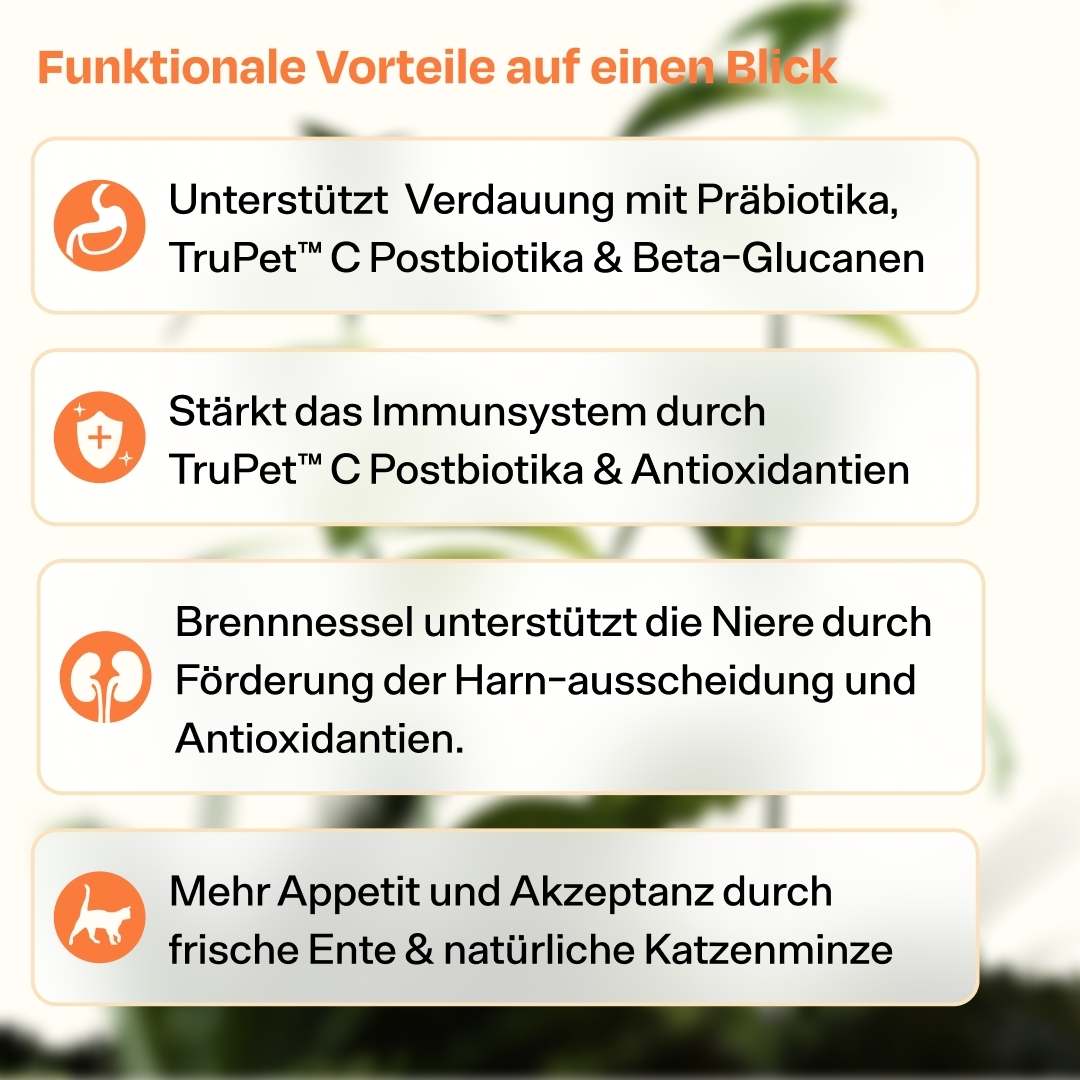 Nassfutter Starterpack inkl. GRATIS H2Miau Hydration Booster