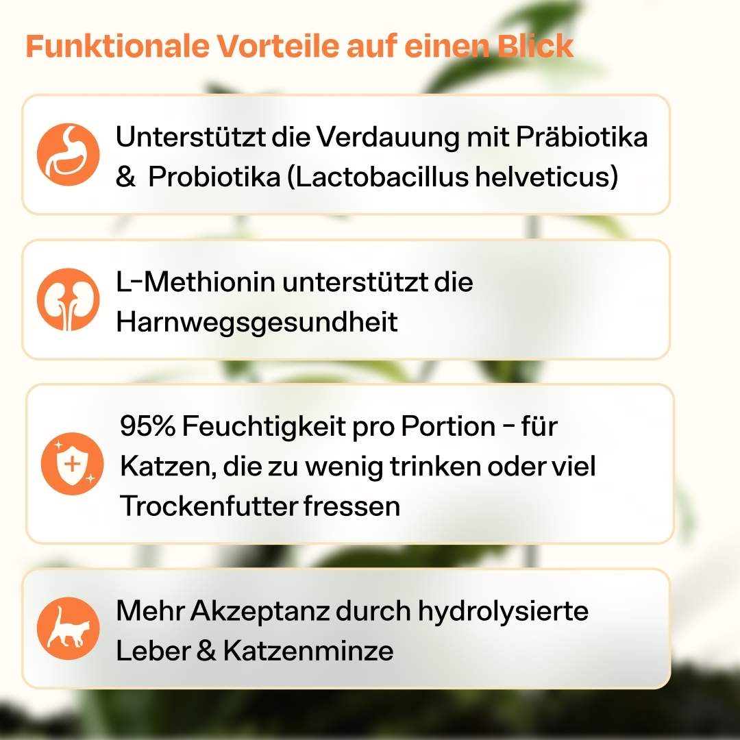 14x50g - Suppe reich an Huhn - Better Bouillon