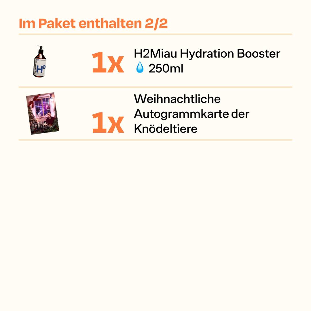 Knödeltier Pack Weihnachtsedition 🎄