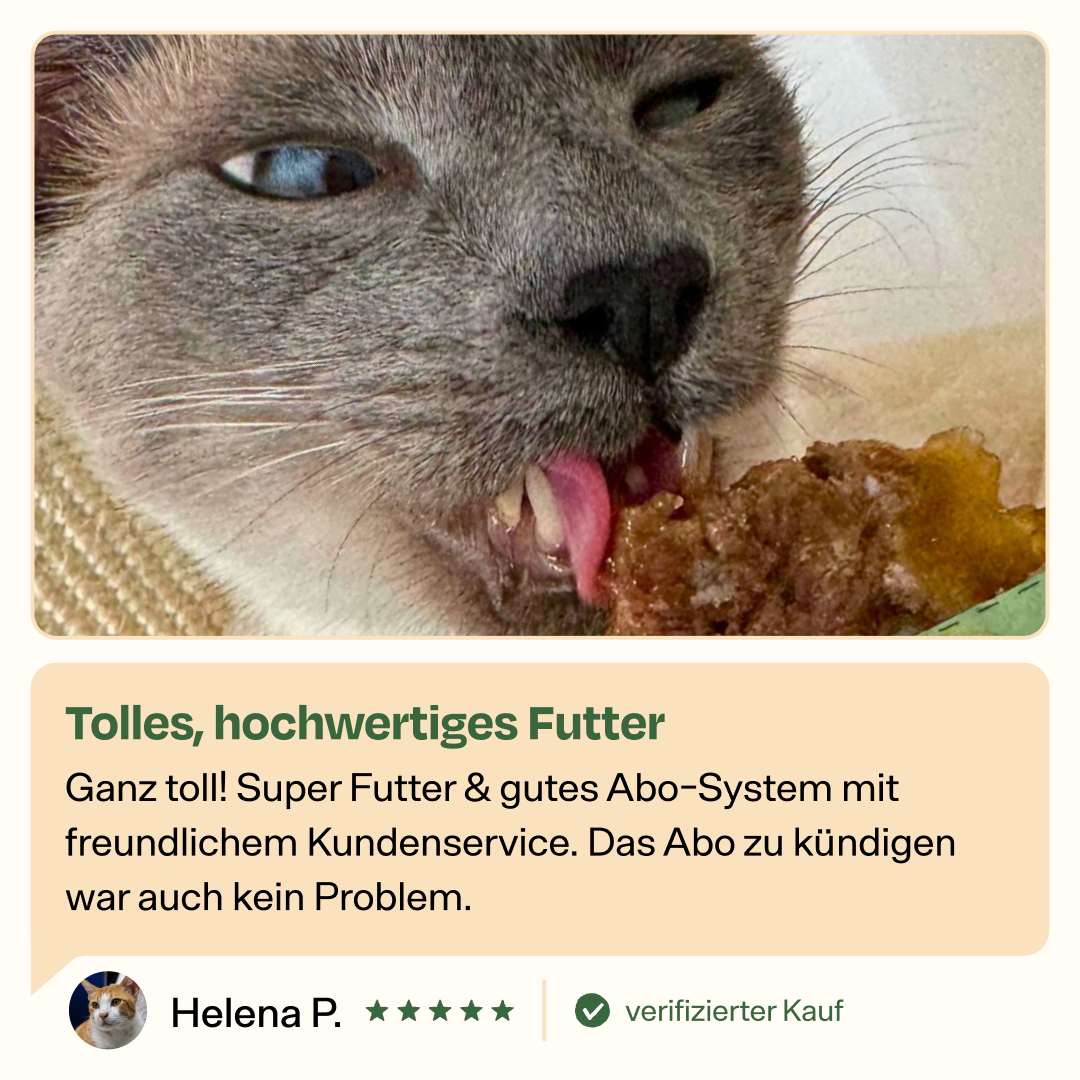 Deluxe Starterpack mit GRATIS Thermo, Appetit Booster & Snack