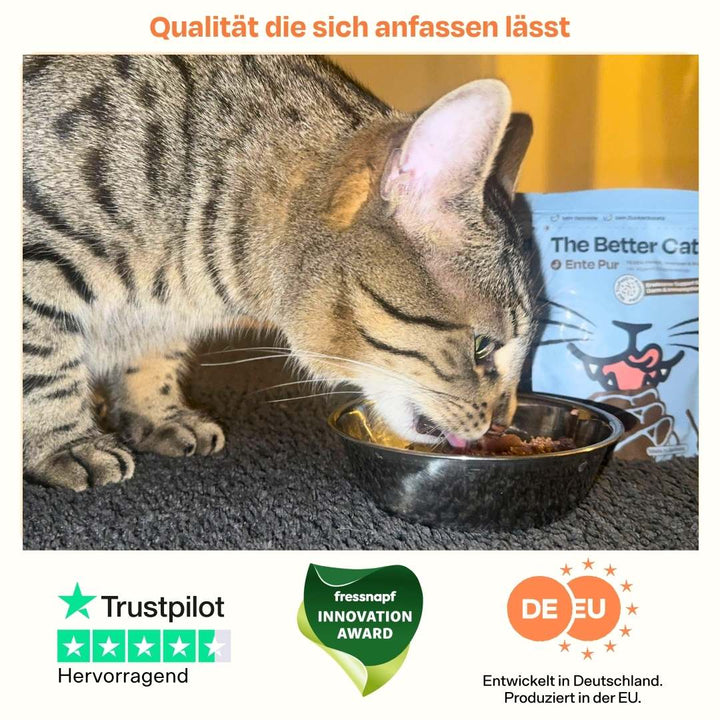 Nassfutter Starterpack inkl. GRATIS H2Miau Hydration Booster