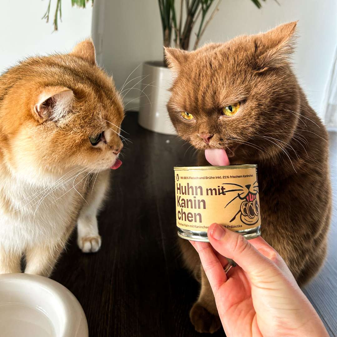 6x200g Huhn mit Kaninchen Nassfutter