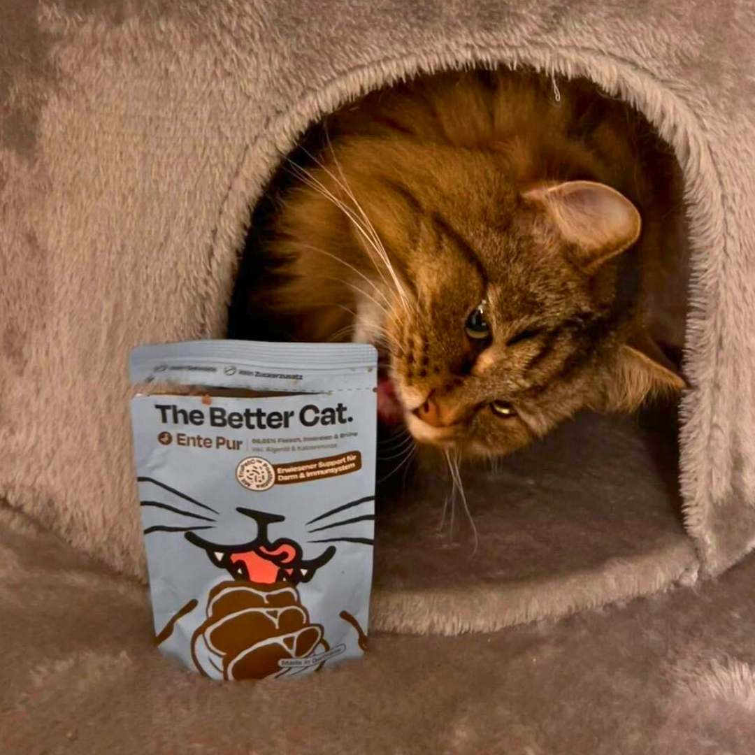 12x85g Monoprotein Ente Pur Nassfutter