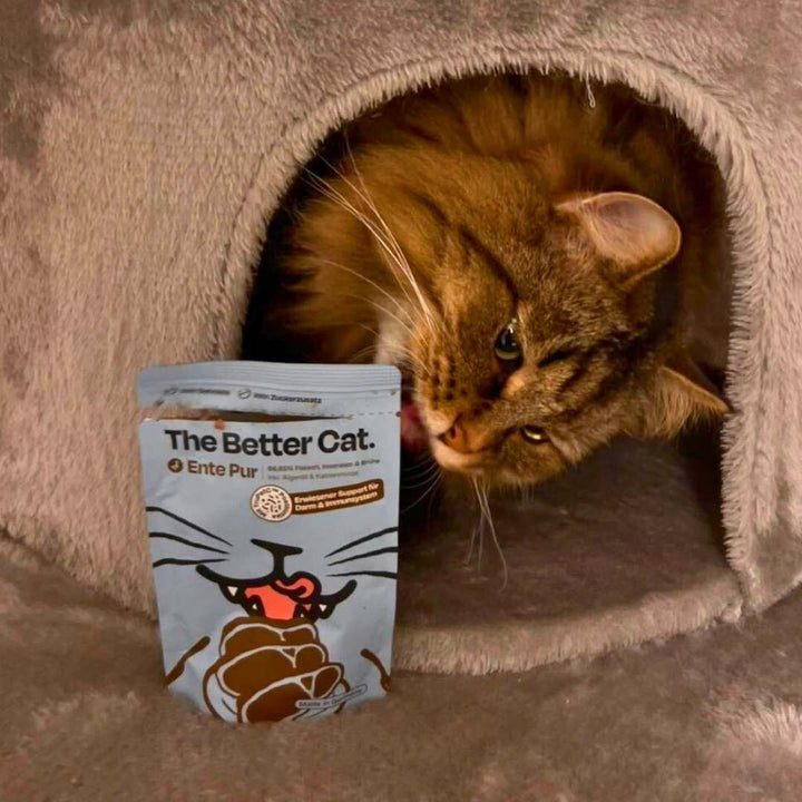 12x85g Monoprotein Ente Pur Nassfutter