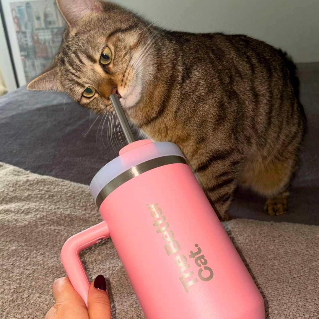 Katzenliebe Bundle inkl. GRATIS Thermo & Valentins-Magnet