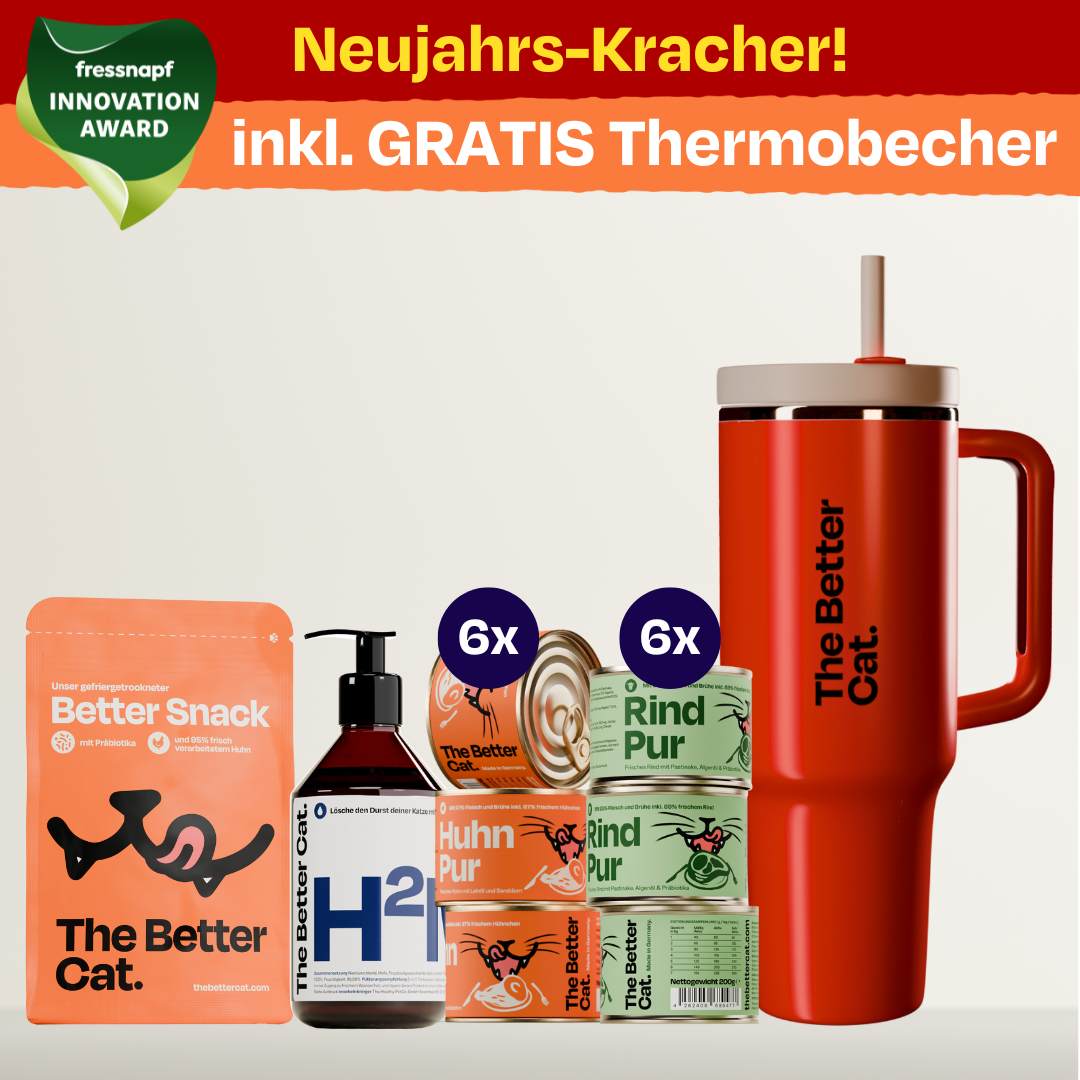 Winter-Bundle inkl. GRATIS Thermobecher