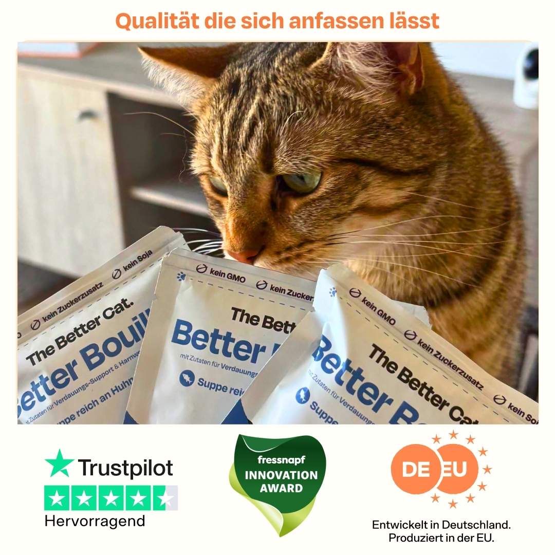 Better Bouillon Suppen Sparpaket