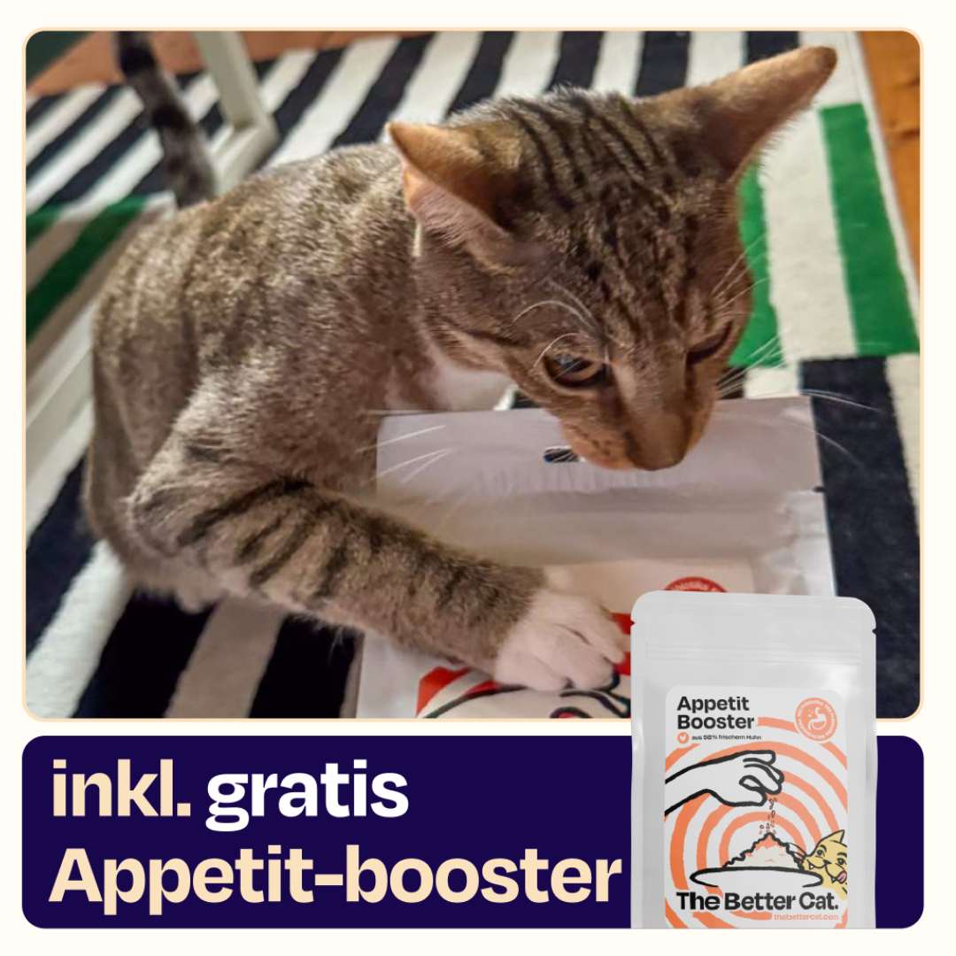 Deluxe Starterpack mit GRATIS Thermo, Appetit Booster & Snack
