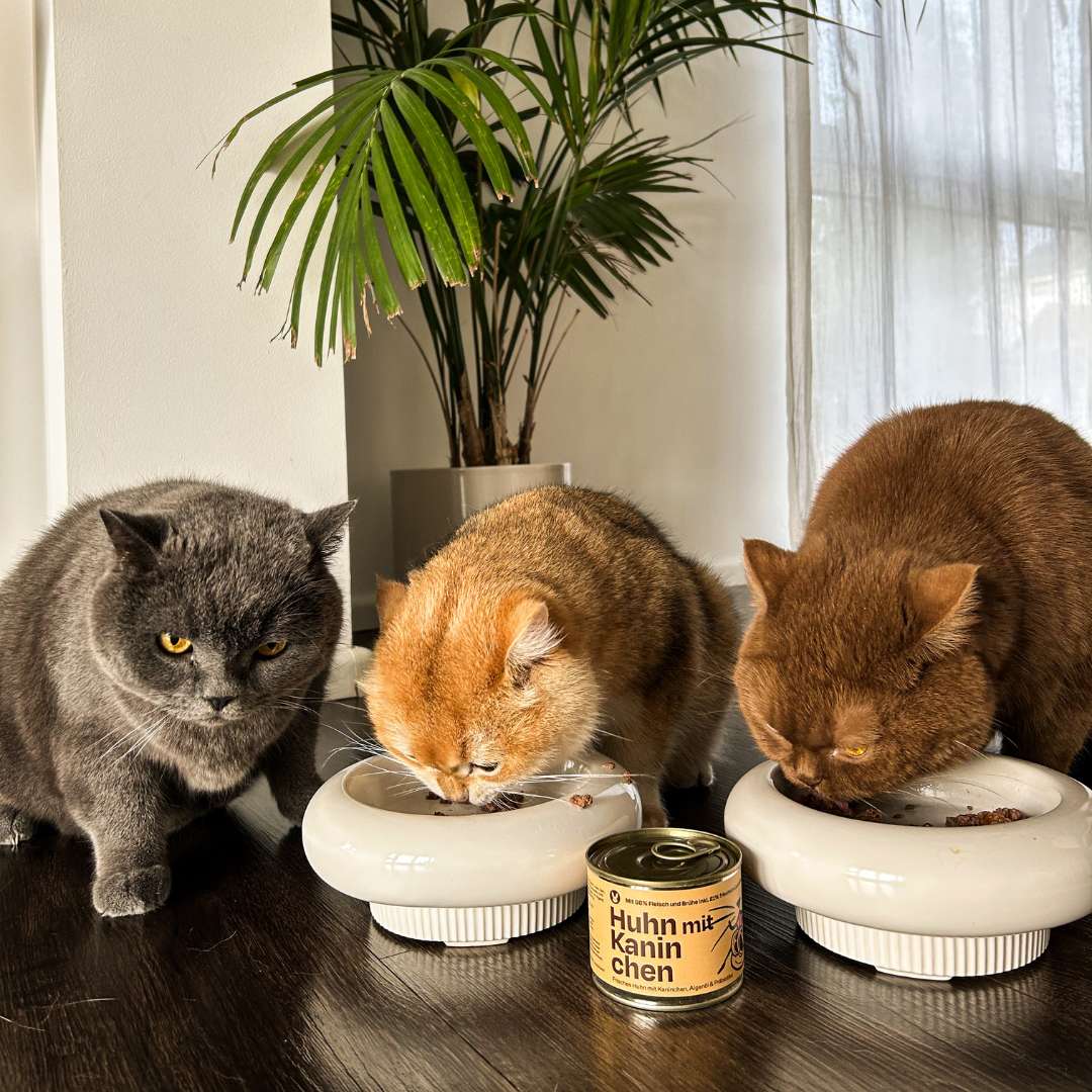 6x200g Huhn mit Kaninchen Nassfutter