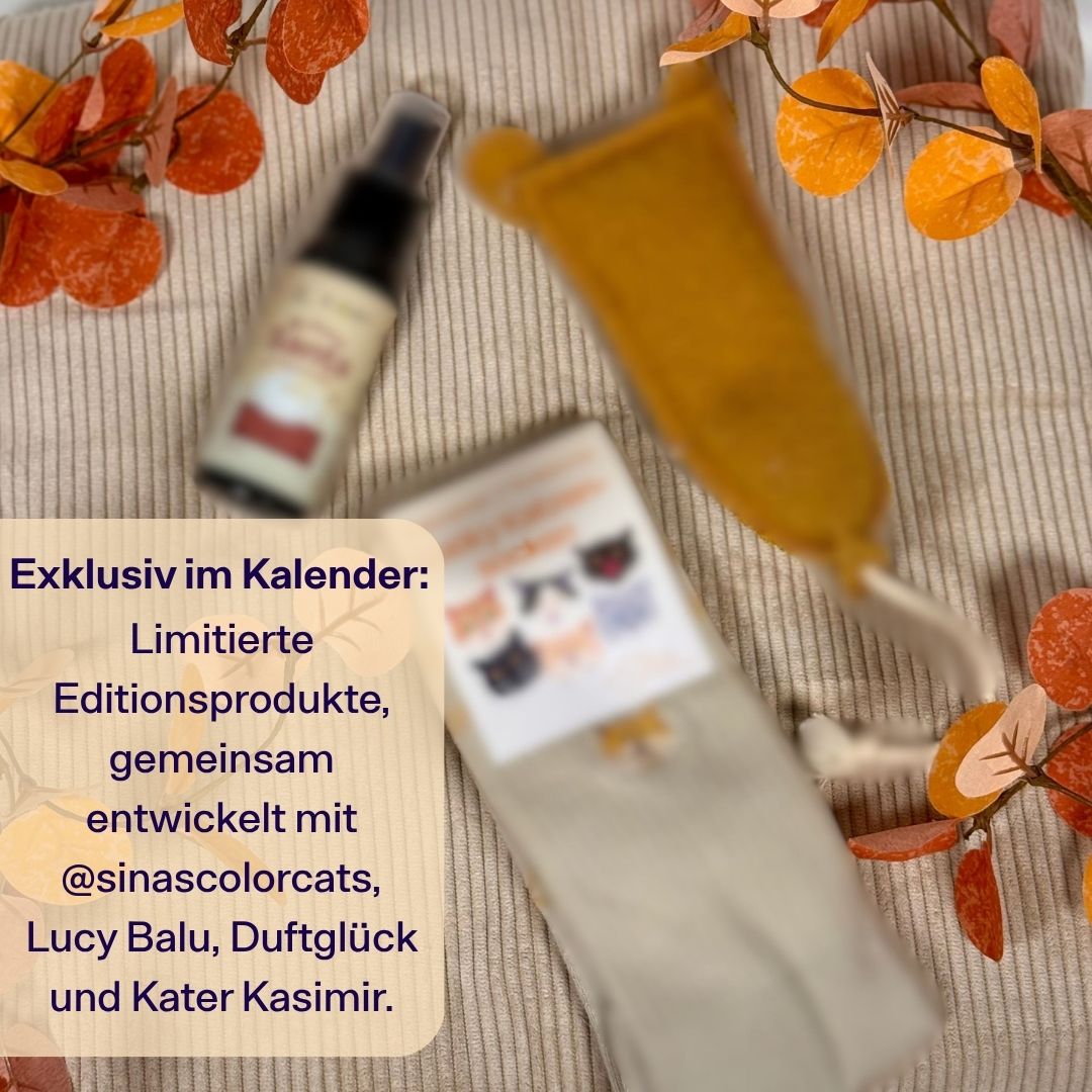 TBC Adventskalendar 2026