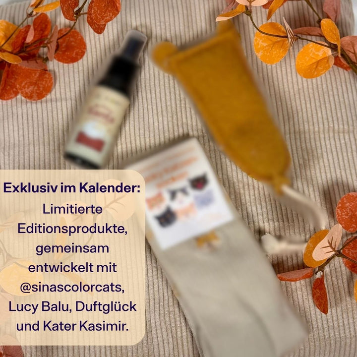 TBC Adventskalendar 2026