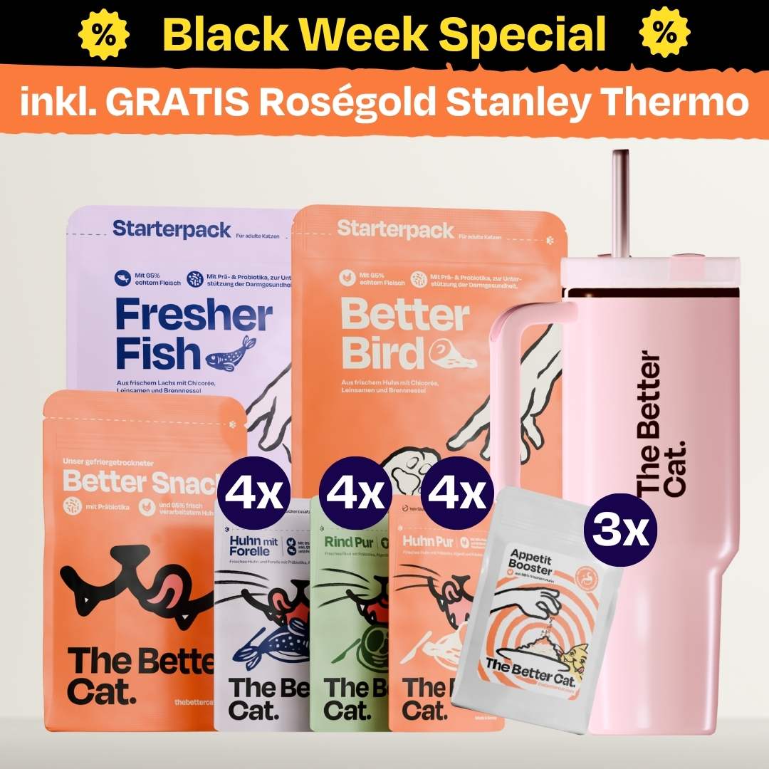 Black Week Bundle inkl. GRATIS Thermo - Roségold