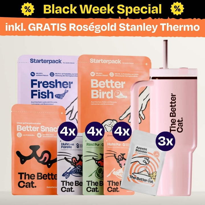 Black Week Bundle inkl. GRATIS Thermo - Roségold