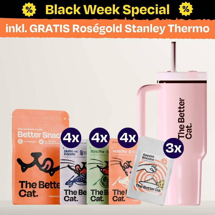 Black Week Bundle inkl. GRATIS Thermo - Roségold