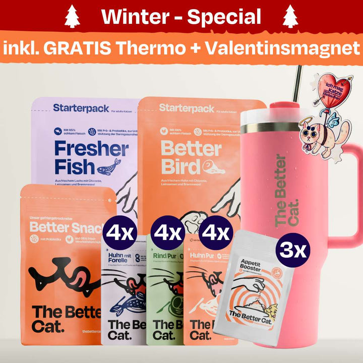 Katzenliebe Bundle inkl. GRATIS Thermo & Valentins-Magnet