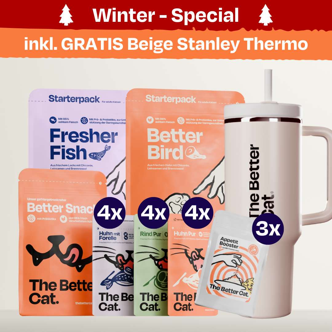 Catmas Bundle inkl. GRATIS Thermo deiner Wahl