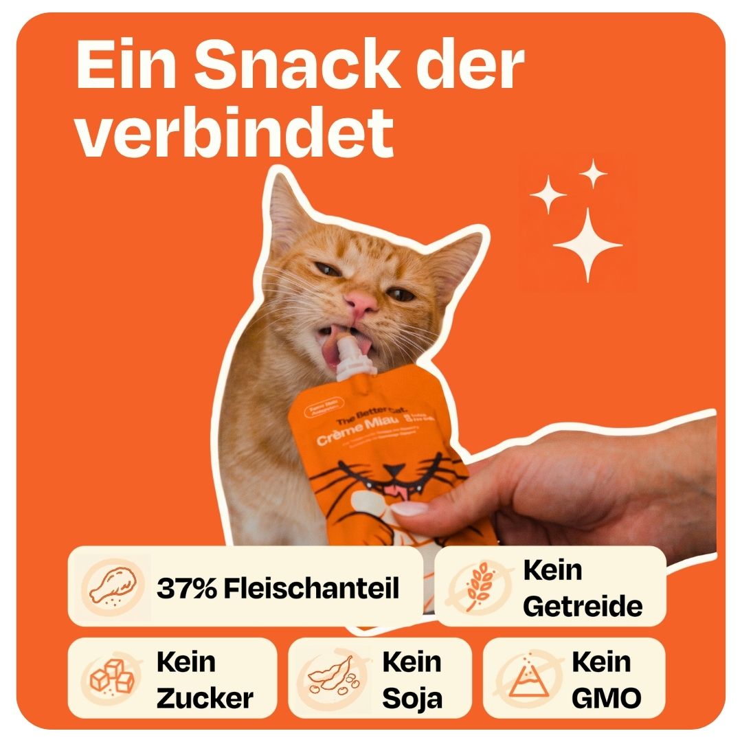 Crème Miau Schleck Snack