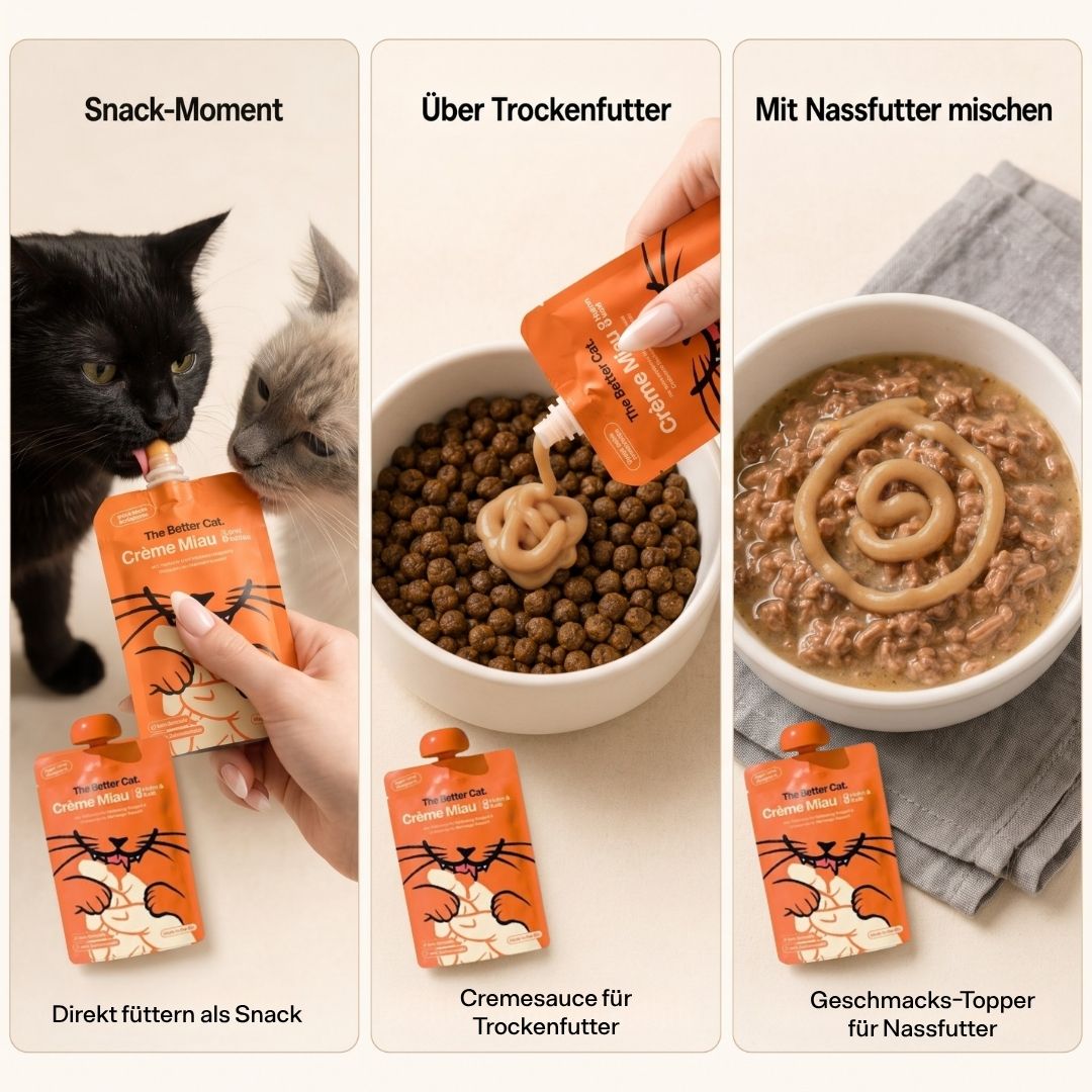 Crème Miau Schleck Snack
