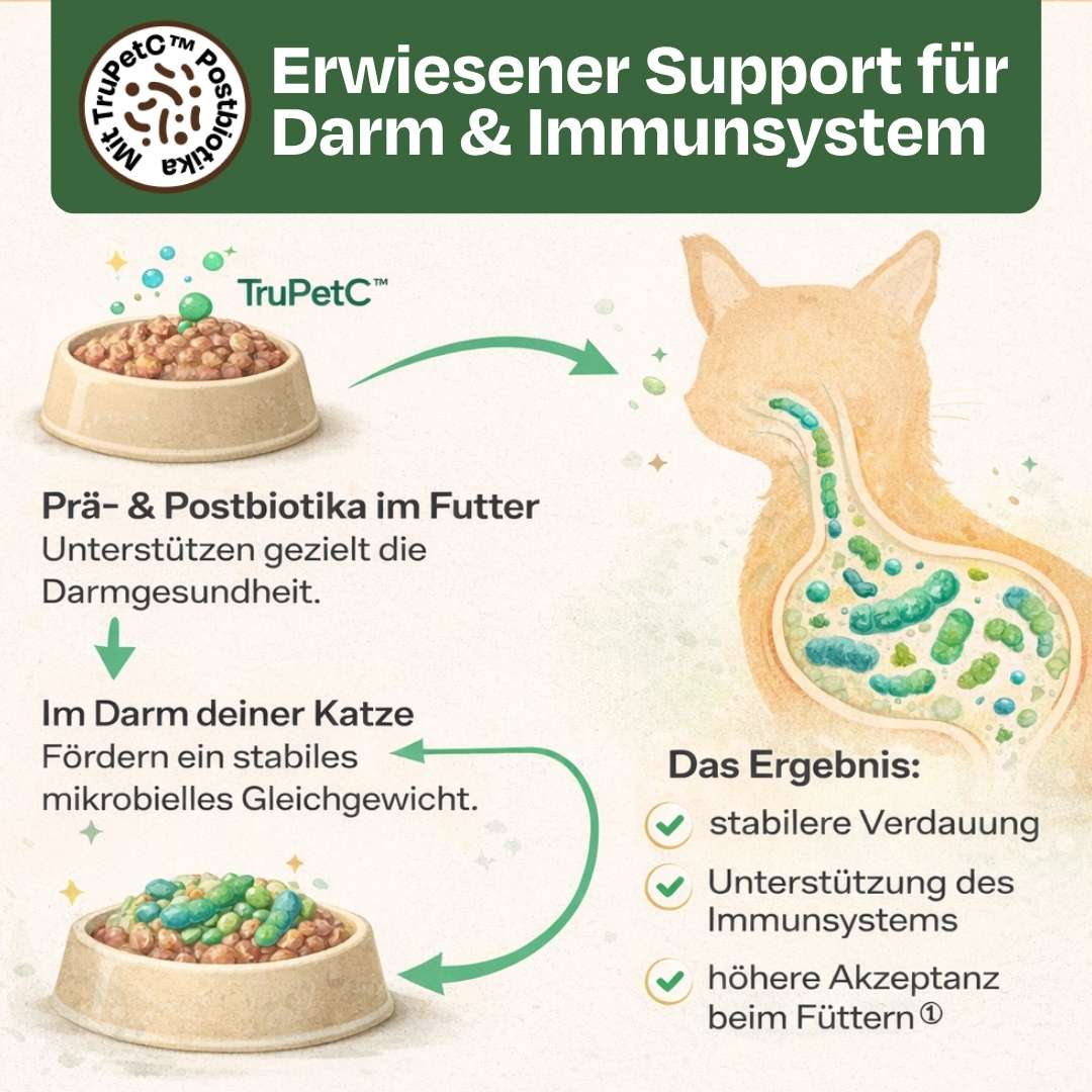 Nassfutter Starterpack inkl. GRATIS H2Miau Hydration Booster