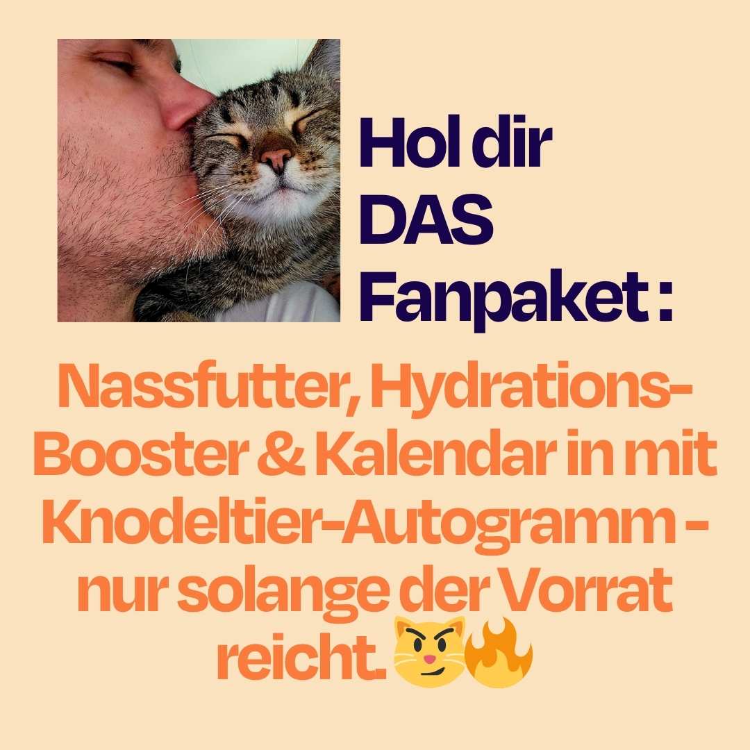 Catzarelove Bundle inkl. GRATIS Kalendar & H2Miau