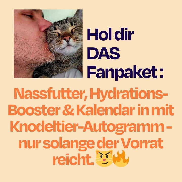 Catzarelove Bundle inkl. GRATIS Kalendar & H2Miau
