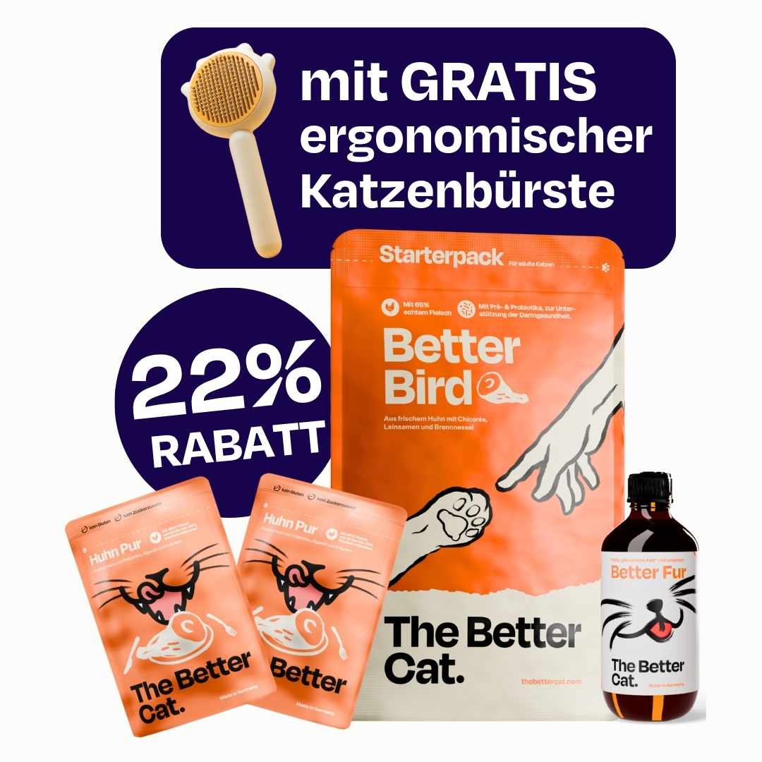 Flohschutz-Paket mit GRATIS ergonomischer Katzenbürste