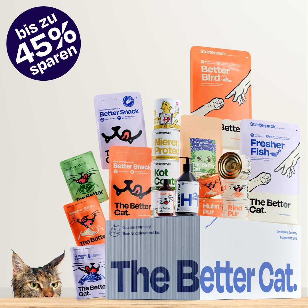 Personalisiere das Bundle deiner Katze