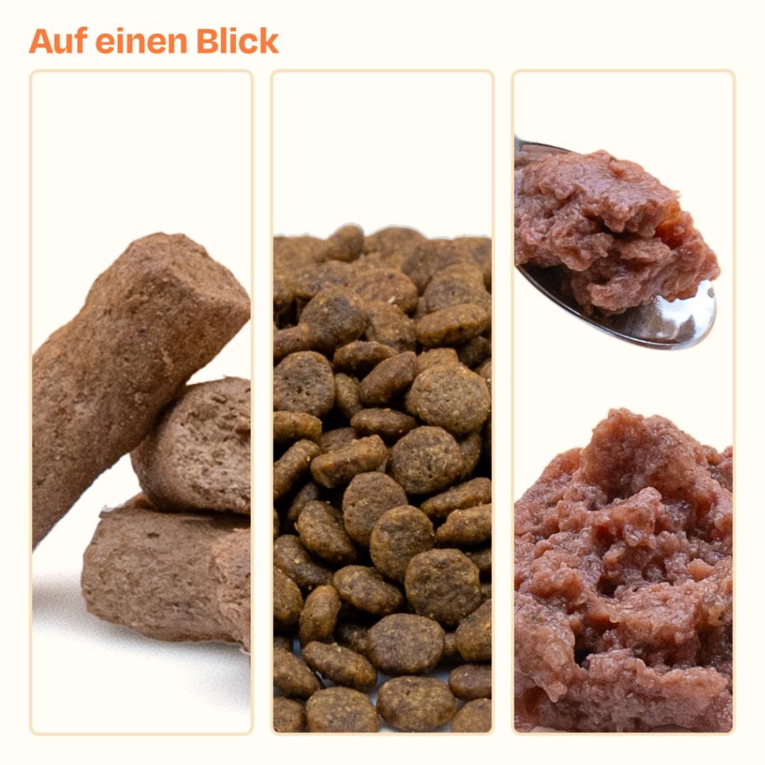 Frisches Probierpack inkl. 1 Woche GRATIS Nassfutter