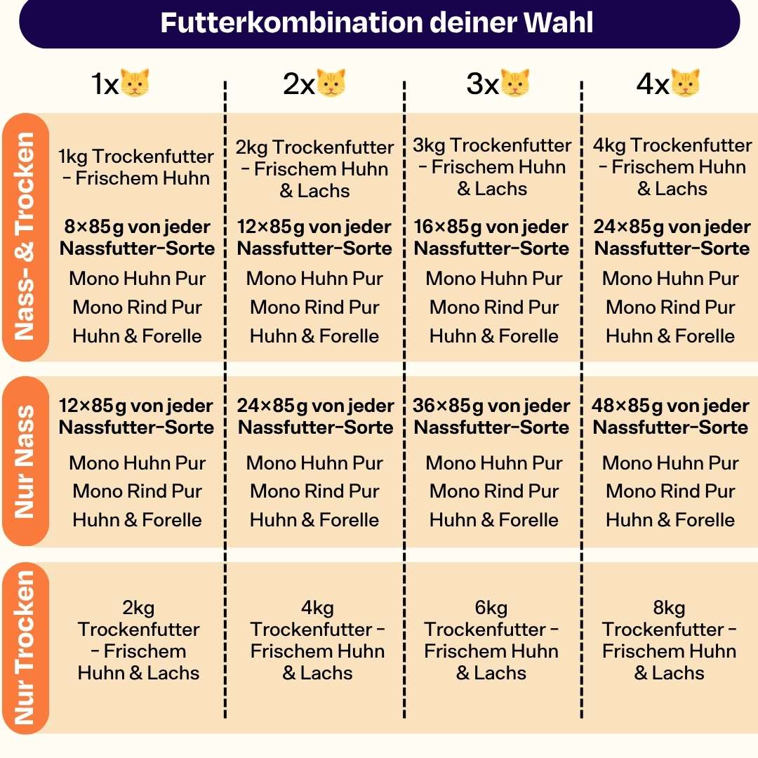 Deluxe Starterpack mit GRATIS Thermo, Appetit Booster & Snack