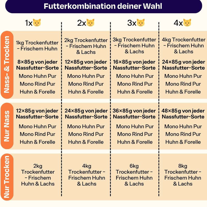 Deluxe Starterpack mit GRATIS Thermo, Appetit Booster & Snack