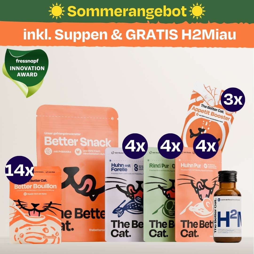 Nassfutter Probierpack inkl. GRATIS Hydration Booster
