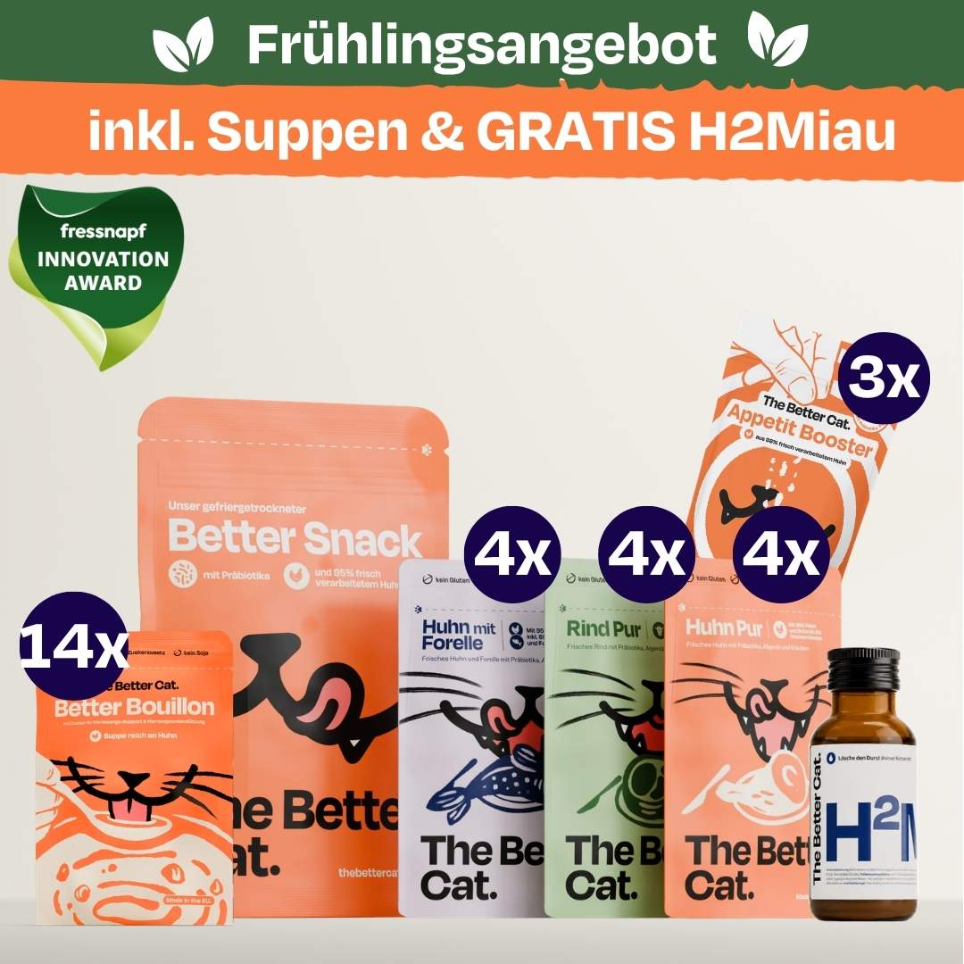 Nassfutter Probierpack inkl. GRATIS Hydration Booster