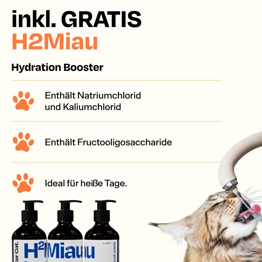 Nassfutter Starterpack inkl. GRATIS H2Miau Hydration Booster