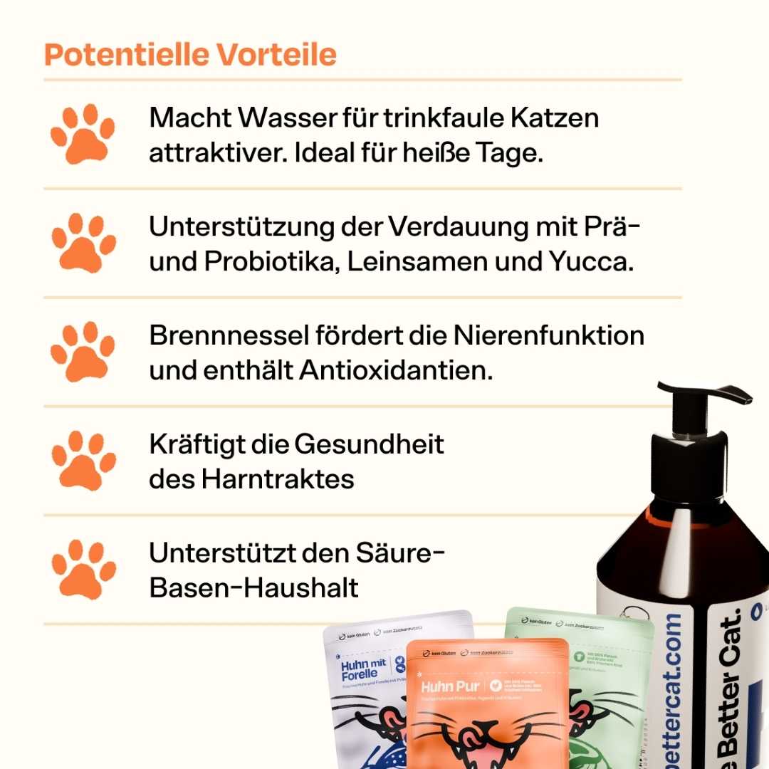 Nassfutter Starterpack inkl. GRATIS H2Miau Hydration Booster