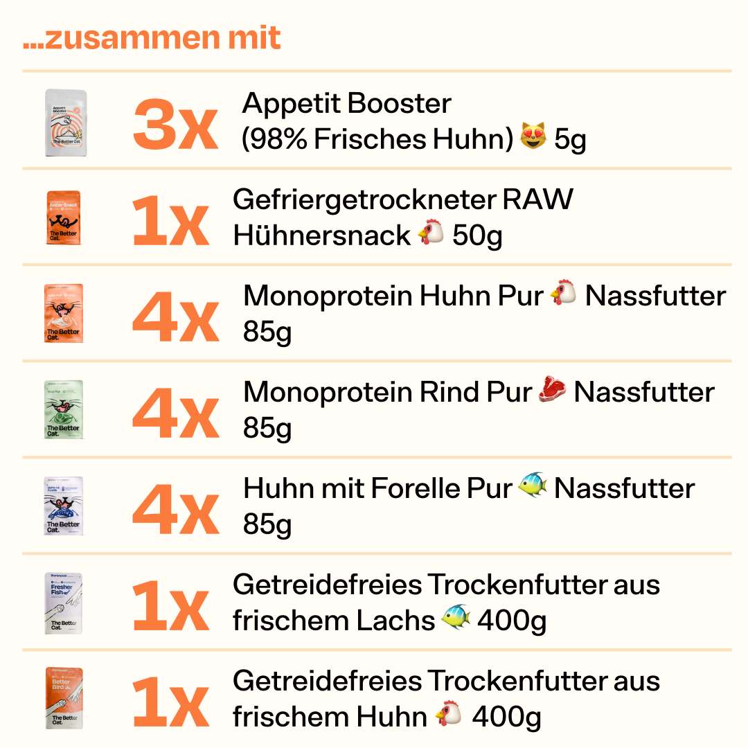 Catmas Bundle inkl. GRATIS Thermo deiner Wahl